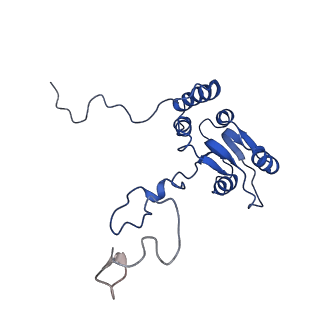 4560_6qik_Q_v1-1
Cryo-EM structures of Lsg1-TAP pre-60S ribosomal particles