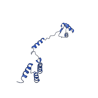 4560_6qik_R_v1-1
Cryo-EM structures of Lsg1-TAP pre-60S ribosomal particles