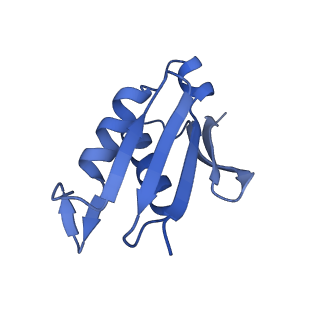 4560_6qik_V_v1-1
Cryo-EM structures of Lsg1-TAP pre-60S ribosomal particles