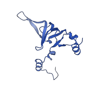4560_6qik_X_v1-1
Cryo-EM structures of Lsg1-TAP pre-60S ribosomal particles