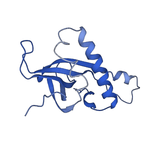 4560_6qik_Y_v1-1
Cryo-EM structures of Lsg1-TAP pre-60S ribosomal particles
