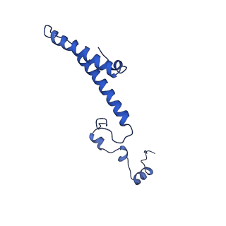 4560_6qik_Z_v1-1
Cryo-EM structures of Lsg1-TAP pre-60S ribosomal particles