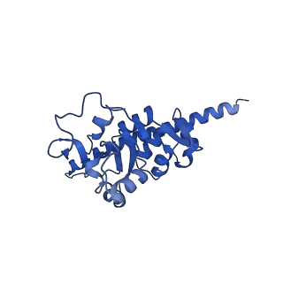 4560_6qik_b_v1-1
Cryo-EM structures of Lsg1-TAP pre-60S ribosomal particles