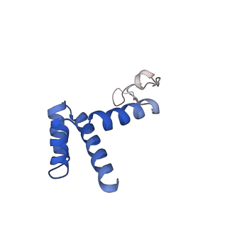 4560_6qik_h_v1-1
Cryo-EM structures of Lsg1-TAP pre-60S ribosomal particles