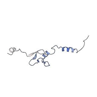 4560_6qik_i_v1-1
Cryo-EM structures of Lsg1-TAP pre-60S ribosomal particles