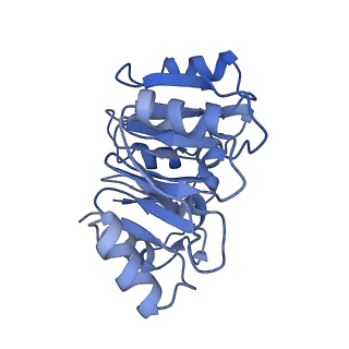 4560_6qik_n_v1-1
Cryo-EM structures of Lsg1-TAP pre-60S ribosomal particles