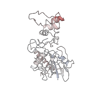 4560_6qik_o_v1-1
Cryo-EM structures of Lsg1-TAP pre-60S ribosomal particles