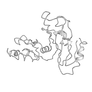 4560_6qik_p_v1-1
Cryo-EM structures of Lsg1-TAP pre-60S ribosomal particles
