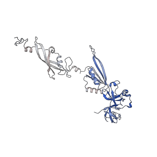4560_6qik_w_v1-1
Cryo-EM structures of Lsg1-TAP pre-60S ribosomal particles