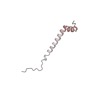 4560_6qik_z_v1-1
Cryo-EM structures of Lsg1-TAP pre-60S ribosomal particles