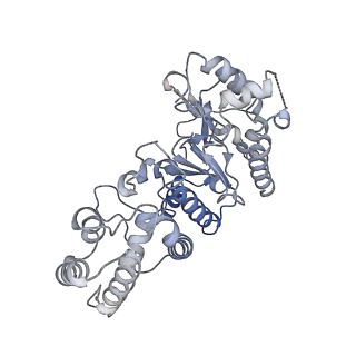 17795_8qj7_C_v1-0
Cryo-EM structure of human DNA polymerase alpha-primase in pre-initiation stage 1
