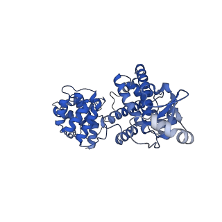 17795_8qj7_D_v1-0
Cryo-EM structure of human DNA polymerase alpha-primase in pre-initiation stage 1