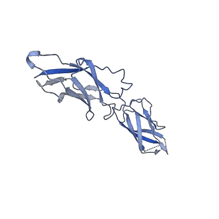 18453_8qjx_D_v1-2
Human Adenovirus type 11 fiber knob in complex with two copies of its cell receptor, Desmoglein-2