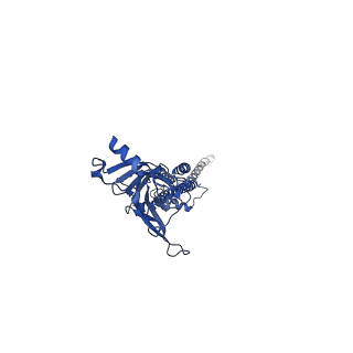 14048_7qko_A_v1-2
Torpedo muscle-type nicotinic acetylcholine receptor - Resting conformation