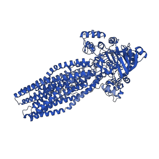 14049_7qkr_A_v1-0
Cryo-EM structure of ABC transporter STE6-2p from Pichia pastoris with Verapamil at 3.2 A resolution