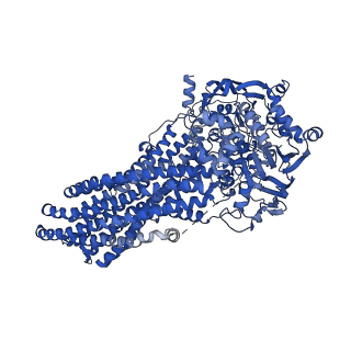 14050_7qks_A_v1-0
Cryo-EM structure of ABC transporter STE6-2p from Pichia pastoris in apo conformation at 3.1 A resolution