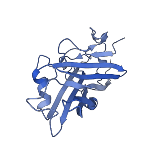 18455_8qk3_A_v1-2
Human Adenovirus type 11 fiber knob in complex with its cell receptors, Desmoglein-2 and CD46