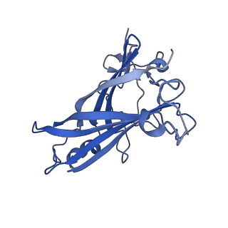 18455_8qk3_B_v1-2
Human Adenovirus type 11 fiber knob in complex with its cell receptors, Desmoglein-2 and CD46