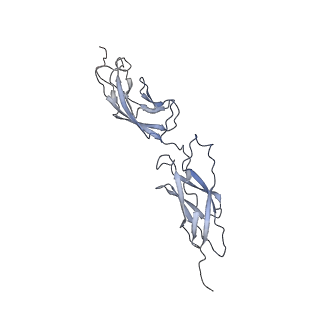 18455_8qk3_D_v1-2
Human Adenovirus type 11 fiber knob in complex with its cell receptors, Desmoglein-2 and CD46