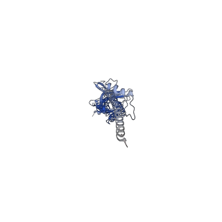 14064_7ql5_C_v1-2
Torpedo muscle-type nicotinic acetylcholine receptor - nicotine-bound conformation