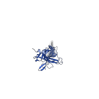 14065_7ql6_C_v1-2
Torpedo muscle-type nicotinic acetylcholine receptor - carbamylcholine-bound conformation