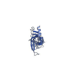 14065_7ql6_D_v1-2
Torpedo muscle-type nicotinic acetylcholine receptor - carbamylcholine-bound conformation
