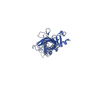 14065_7ql6_E_v1-2
Torpedo muscle-type nicotinic acetylcholine receptor - carbamylcholine-bound conformation