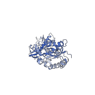 18486_8qlo_A_v1-0
CryoEM structure of the apo SPARTA (BabAgo/TIR-APAZ) complex