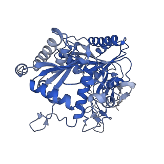 18486_8qlo_B_v1-0
CryoEM structure of the apo SPARTA (BabAgo/TIR-APAZ) complex