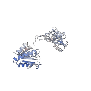 18487_8qlp_A_v1-0
CryoEM structure of the RNA/DNA bound SPARTA (BabAgo/TIR-APAZ) tetrameric complex