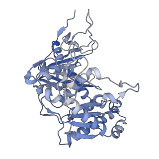 18487_8qlp_B_v1-0
CryoEM structure of the RNA/DNA bound SPARTA (BabAgo/TIR-APAZ) tetrameric complex