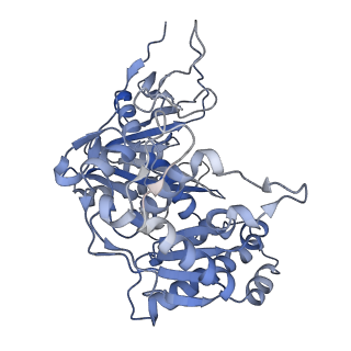 18487_8qlp_B_v1-1
CryoEM structure of the RNA/DNA bound SPARTA (BabAgo/TIR-APAZ) tetrameric complex