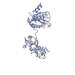 18487_8qlp_E_v1-0
CryoEM structure of the RNA/DNA bound SPARTA (BabAgo/TIR-APAZ) tetrameric complex