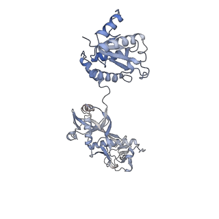 18487_8qlp_E_v1-1
CryoEM structure of the RNA/DNA bound SPARTA (BabAgo/TIR-APAZ) tetrameric complex