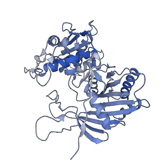 18487_8qlp_F_v1-0
CryoEM structure of the RNA/DNA bound SPARTA (BabAgo/TIR-APAZ) tetrameric complex