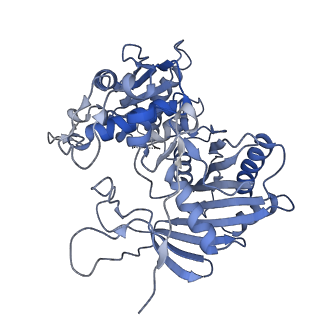 18487_8qlp_F_v1-1
CryoEM structure of the RNA/DNA bound SPARTA (BabAgo/TIR-APAZ) tetrameric complex