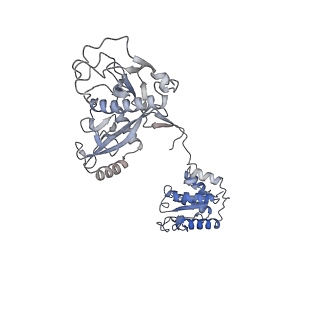 18487_8qlp_I_v1-0
CryoEM structure of the RNA/DNA bound SPARTA (BabAgo/TIR-APAZ) tetrameric complex