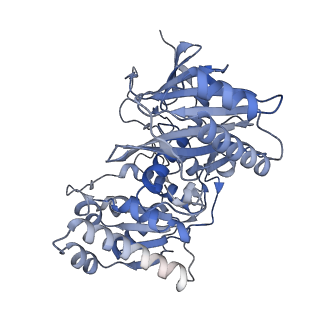 18487_8qlp_J_v1-0
CryoEM structure of the RNA/DNA bound SPARTA (BabAgo/TIR-APAZ) tetrameric complex