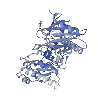 18487_8qlp_J_v1-1
CryoEM structure of the RNA/DNA bound SPARTA (BabAgo/TIR-APAZ) tetrameric complex
