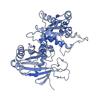 18487_8qlp_N_v1-0
CryoEM structure of the RNA/DNA bound SPARTA (BabAgo/TIR-APAZ) tetrameric complex