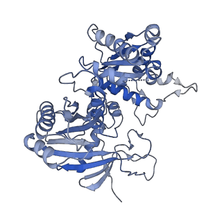 18487_8qlp_N_v1-1
CryoEM structure of the RNA/DNA bound SPARTA (BabAgo/TIR-APAZ) tetrameric complex