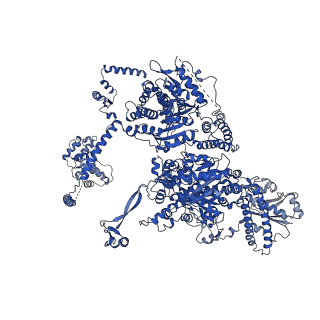 4577_6ql5_A_v1-1
Structure of fatty acid synthase complex with bound gamma subunit from Saccharomyces cerevisiae at 2.8 angstrom