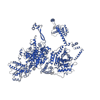 4577_6ql5_B_v1-1
Structure of fatty acid synthase complex with bound gamma subunit from Saccharomyces cerevisiae at 2.8 angstrom