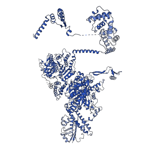 4577_6ql5_D_v1-1
Structure of fatty acid synthase complex with bound gamma subunit from Saccharomyces cerevisiae at 2.8 angstrom