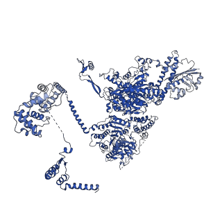 4577_6ql5_E_v1-1
Structure of fatty acid synthase complex with bound gamma subunit from Saccharomyces cerevisiae at 2.8 angstrom