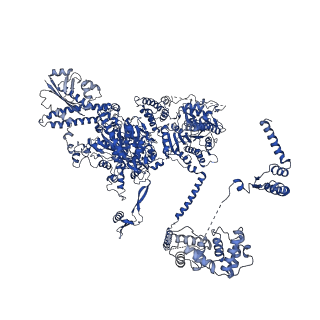 4577_6ql5_F_v1-1
Structure of fatty acid synthase complex with bound gamma subunit from Saccharomyces cerevisiae at 2.8 angstrom