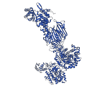 4577_6ql5_G_v1-1
Structure of fatty acid synthase complex with bound gamma subunit from Saccharomyces cerevisiae at 2.8 angstrom