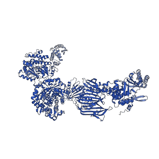 4577_6ql5_H_v1-1
Structure of fatty acid synthase complex with bound gamma subunit from Saccharomyces cerevisiae at 2.8 angstrom