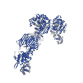 4577_6ql5_I_v1-1
Structure of fatty acid synthase complex with bound gamma subunit from Saccharomyces cerevisiae at 2.8 angstrom