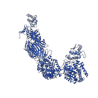 4577_6ql5_J_v1-1
Structure of fatty acid synthase complex with bound gamma subunit from Saccharomyces cerevisiae at 2.8 angstrom